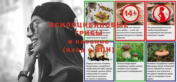 СК Карпинск