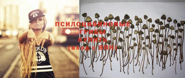 прущая мука Карталы